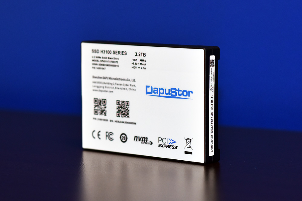 DapuStor H3100 SSD