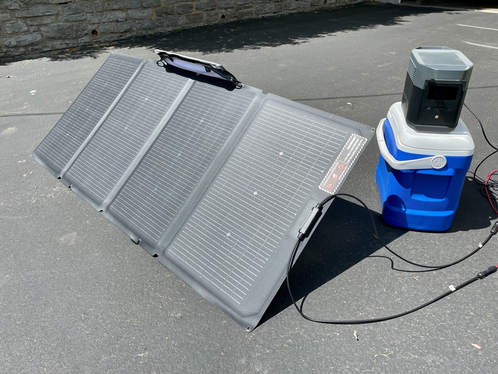 EcoFlow DELTA mini solar panels