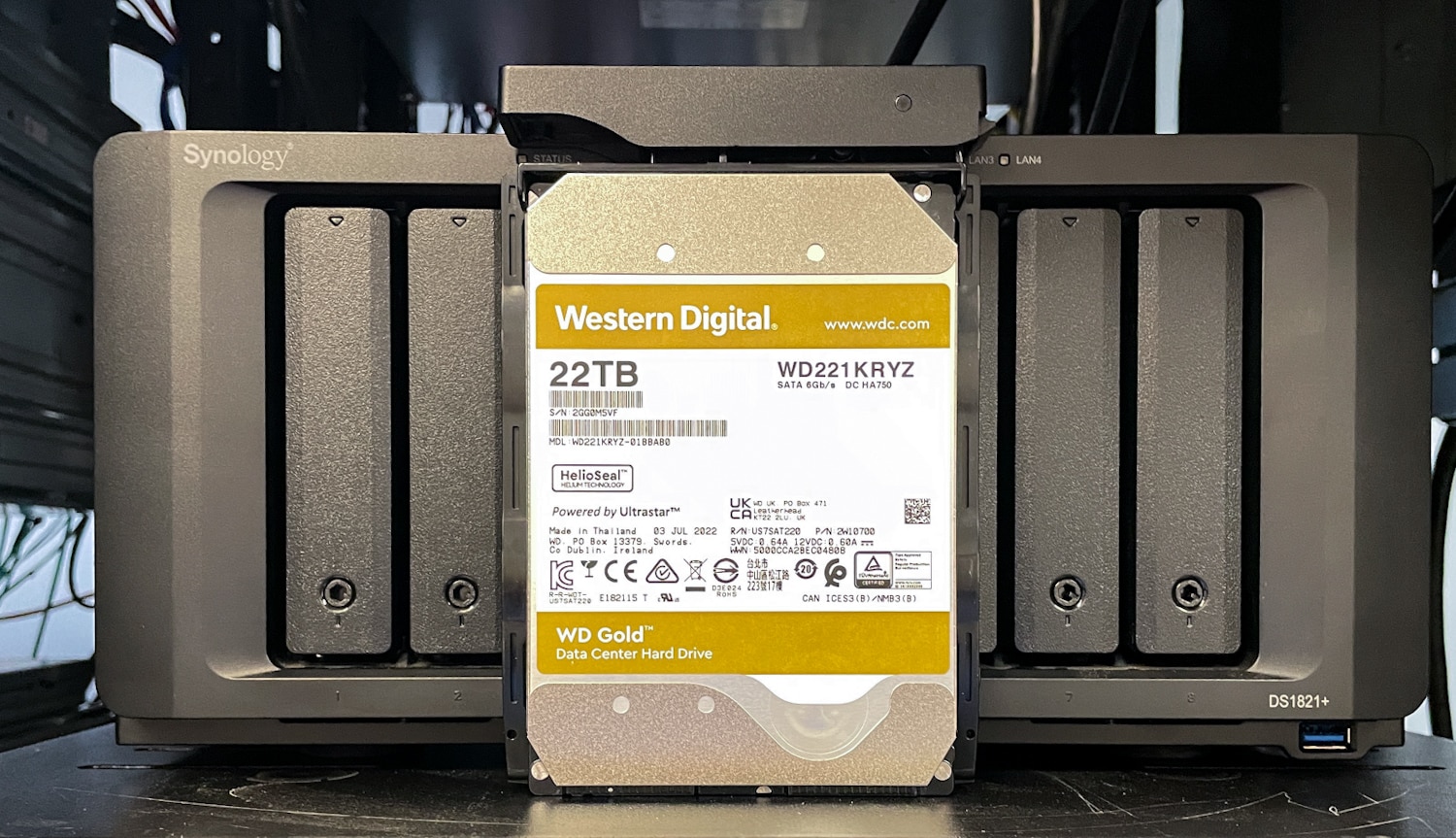 WD Gold 22TB and Synology DiskStation DS1821+ Review