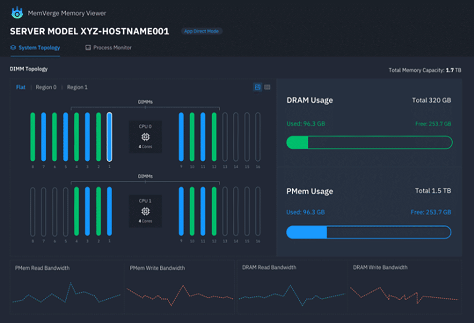 Ver servidor MemVerge MemoryViewer