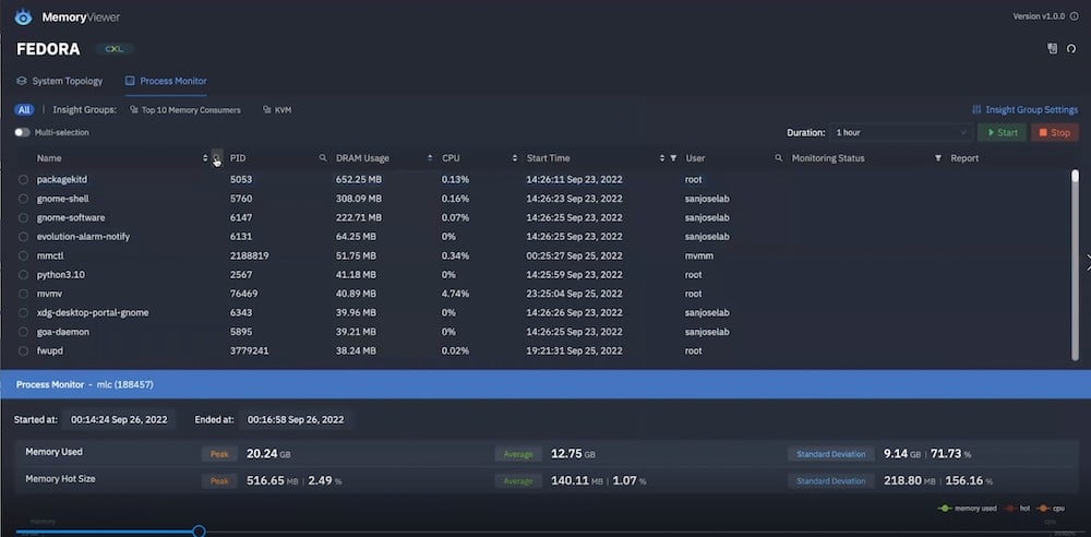 MemVerge MemoryViewer processes view