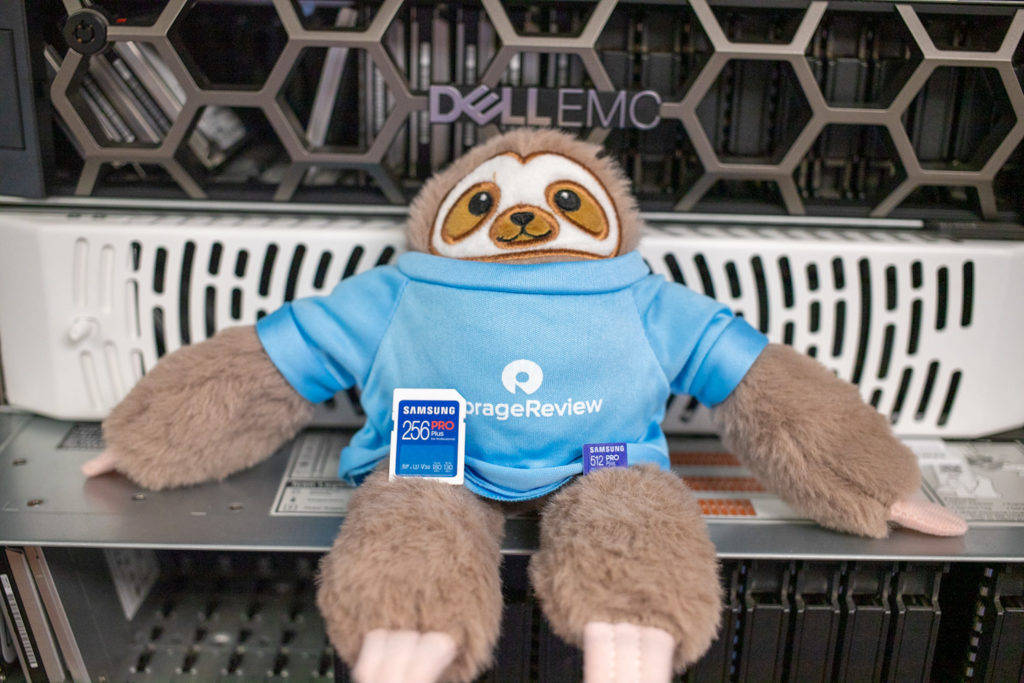 Samsung PRO Plus SD Card on sloth