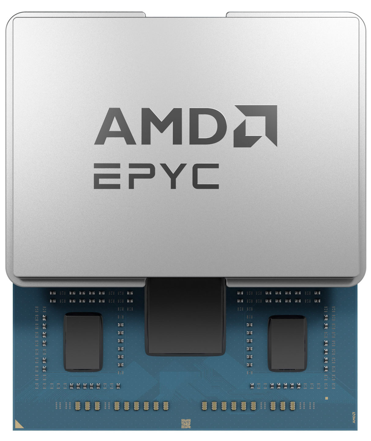 AMD EPYC 8004 lid