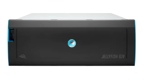 Jellyfish B24