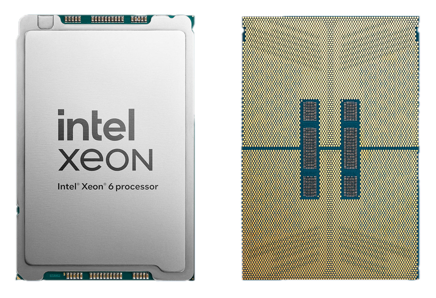 Intel Xeon 6 1298 p-cores