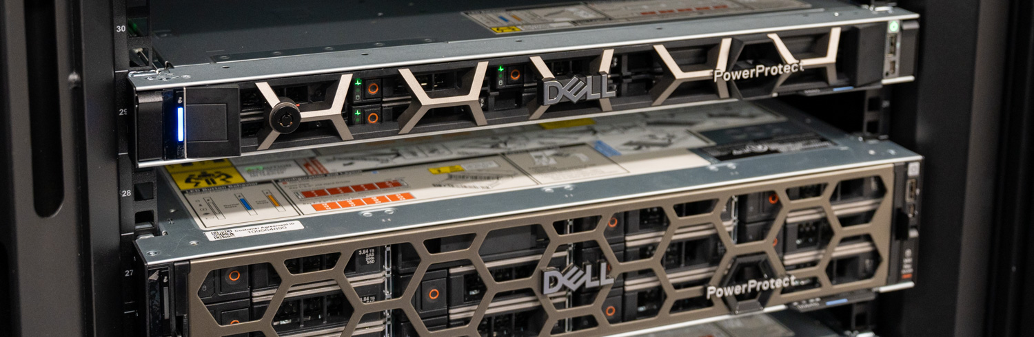 dell powerprotect one with data domain