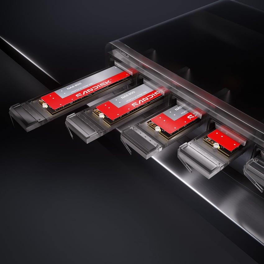 Sandisk NAS 800 NVMe SSD M.2 2280 drive, rear label view